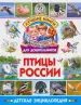 Миниатюра 1