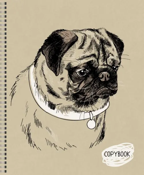 

Тетрадь Sketch dog, А5, 48 листов, клетка, Жёлтый