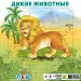 Миниатюра 2