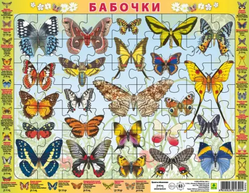 

Детский пазл на подложке. Бабочки, 63 элемента, Разноцветный