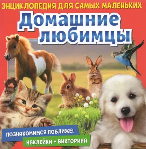 

Познакомимся поближе! Домашние любимцы