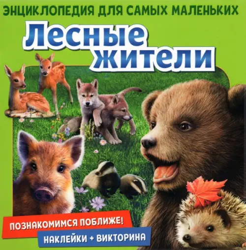 

Познакомимся поближе! Лесные жители