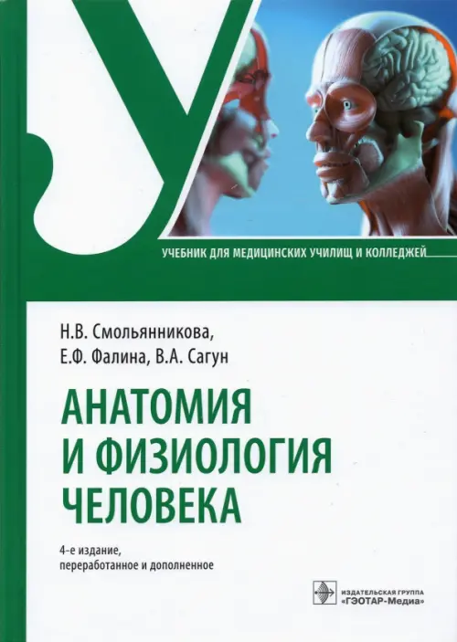

Анатомия и физиология человека. Учебник, Зелёный