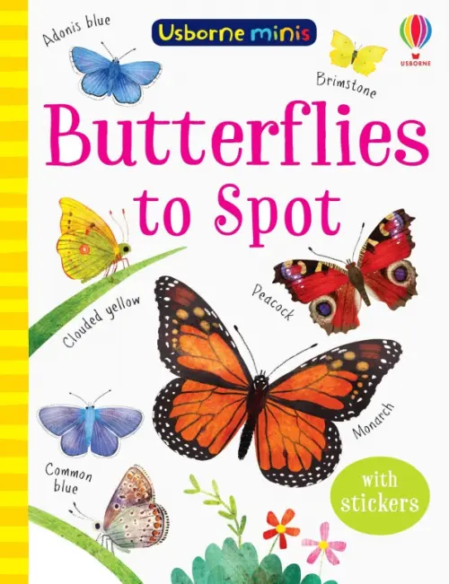 

Butterflies to Spot