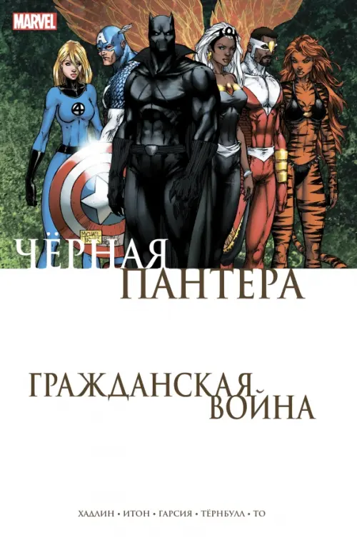 

Гражданская война. Чёрная Пантера