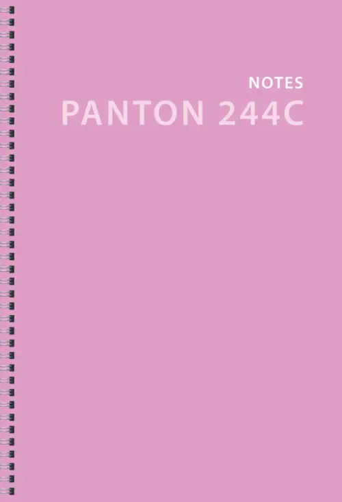 

Тетрадь для конспектов "Monocolour. No 3", А4, 80 листов, клетка, Фиолетовый