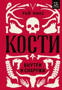 Кости. Внутри и снаружи