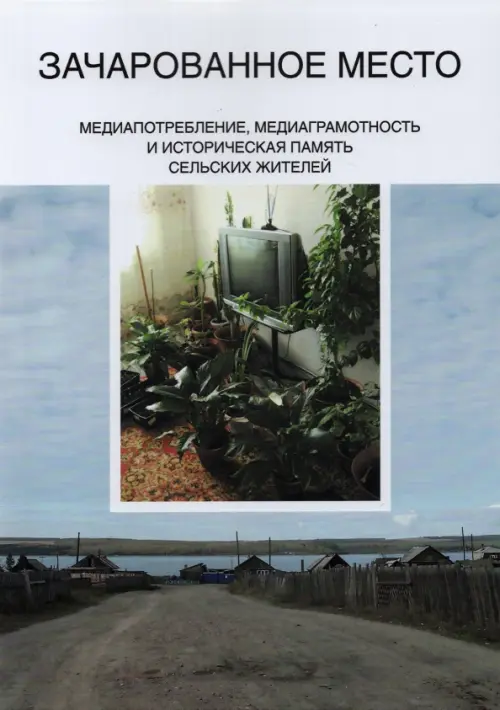 

Зачарованное место. Медиапотребление, медиаграмотность и историческая память сельских жителей, Серый