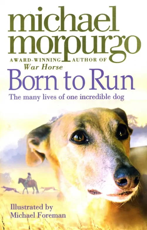 

Born to Run, Жёлтый