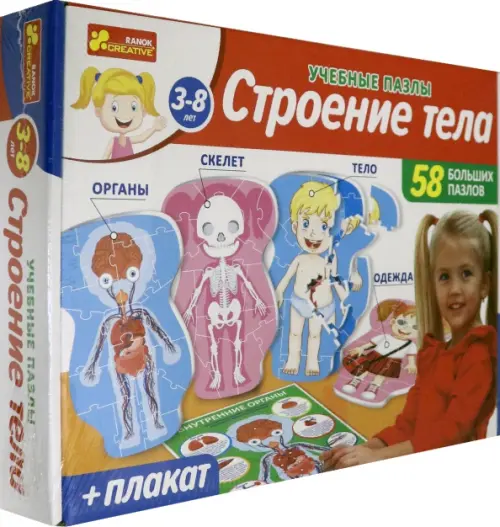 

Учебные пазлы с плакатом. Строение тела, Разноцветный
