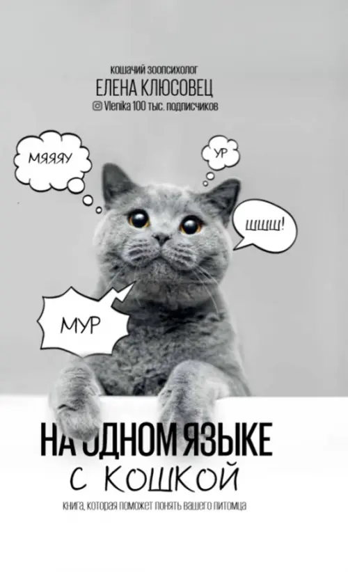 

На одном языке с кошкой, Серый