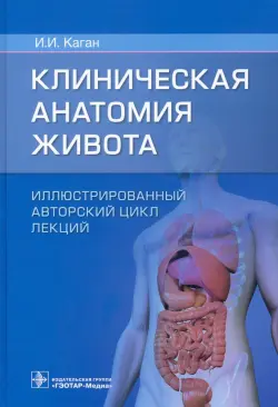 Клиническая анатомия живота. Иллюстрированный авторский цикл лекций