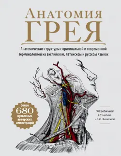 Анатомия Грея. Анатомические структуры с оригинальной и современной терминологией