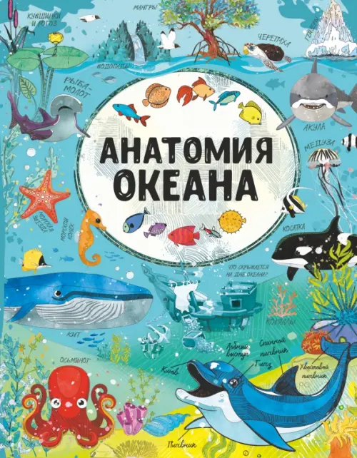 

Анатомия океана, Голубой