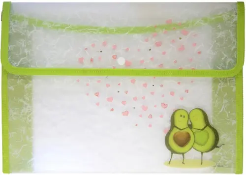 Папка конверт с окантовкой Авокадо А4 185₽