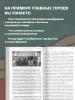 Миниатюра 3
