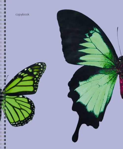 

Тетрадь Butterflies, А5, 48 листов, клетка, В ассортименте