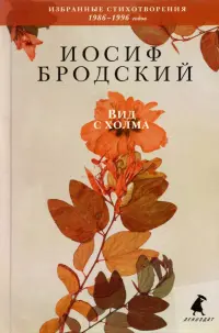 Вид с холма