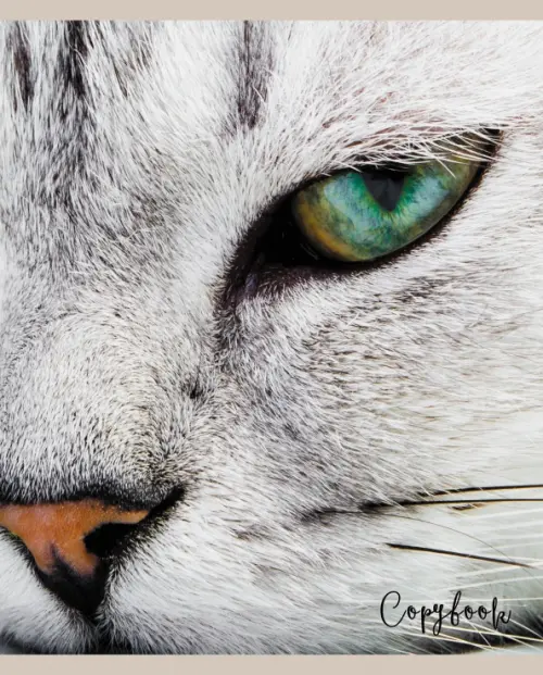 

Тетрадь Cat Eye, А5, 48 листов, клетка, В ассортименте