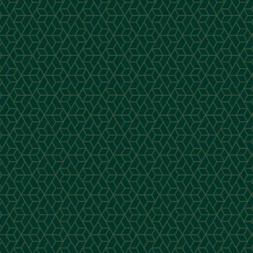 Упаковочная бумага Dark green глянец 70x100 см 90 гм2 84₽