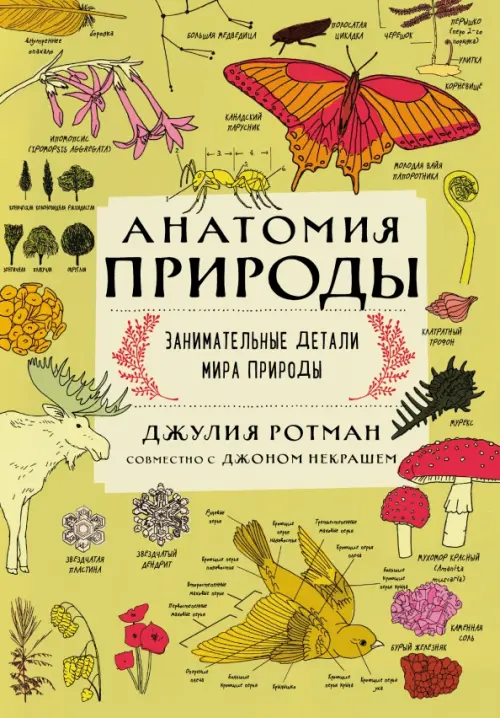 

Анатомия природы. Занимательные детали мира природы, Зелёный