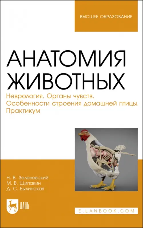 

Анатомия животных. Неврология. Особенности строения домашней птицы. Практикум, Оранжевый