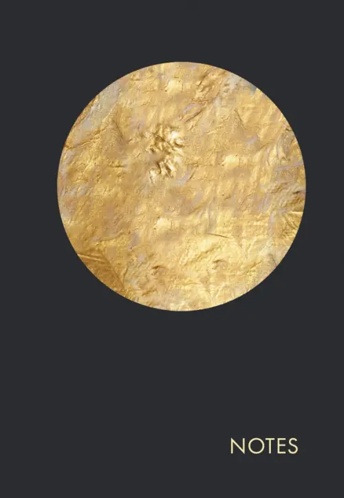 

Книга для записей "Блеск", А5, 160 листов, клетка, Чёрный