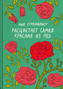 Расцветает самая красная из роз