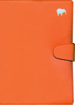 Ежедневник недатированный. Icon, А5, 160 листов, оранжевый