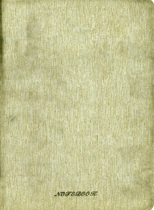 

Ежедневник недатированный. А5, 160 листов, линия, серый
