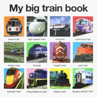 My Big Train Book