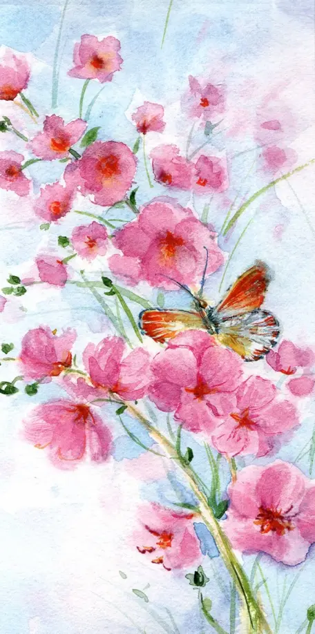 Конверт для денег Цветы 39 39₽