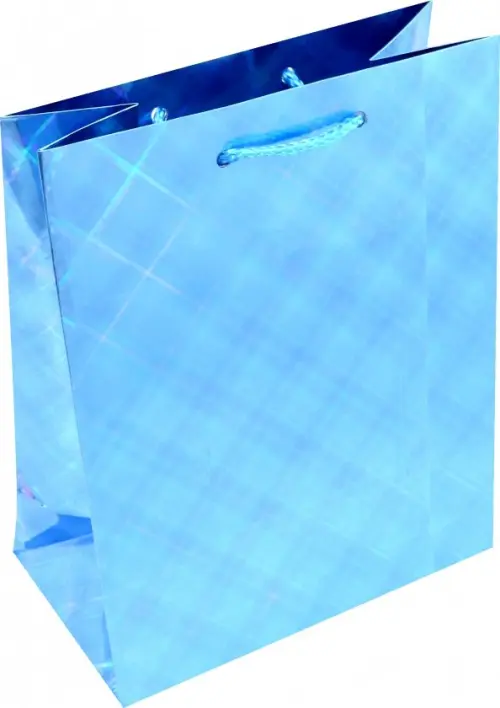 Пакет подарочный голографический 180х227х100 мм 58₽