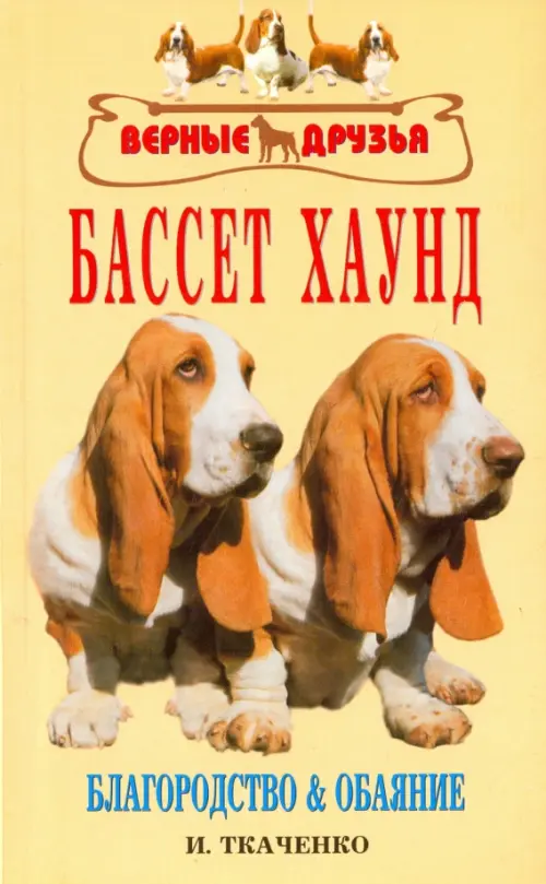 

Бассет хаунд. Благородство и обаяние, Оранжевый
