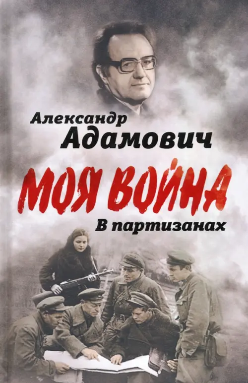

В партизанах, Серый