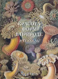 Красота форм в природе. Э. Геккель