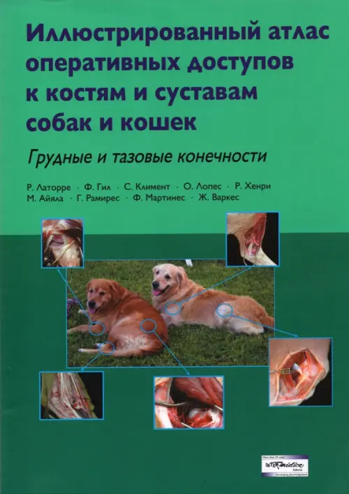 

Иллюстрированный атлас оперативных доступов к костям и суставам собак и кошек. Грудные и тазовые, Зелёный