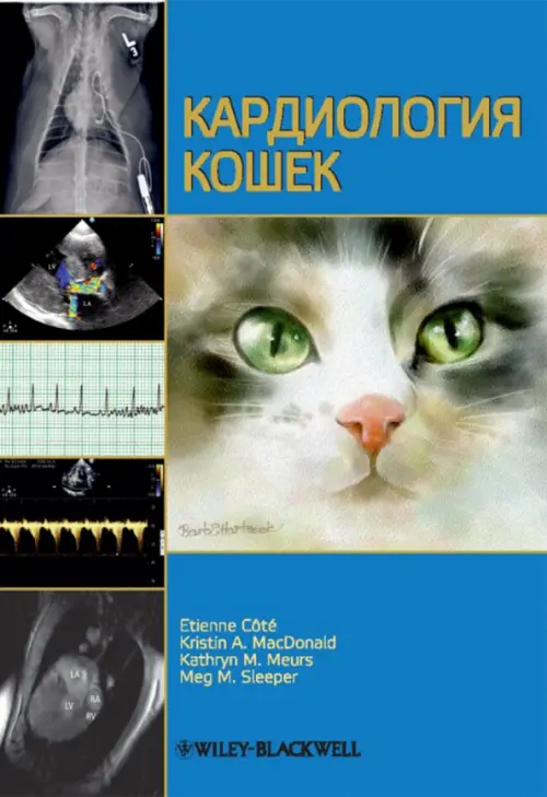 

Кардиология кошек, Голубой