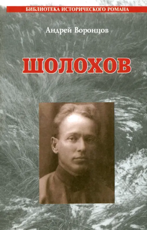 

Шолохов, Серый