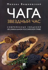 Чага. Звездный час. Современные сведения об уникальном российском грибе