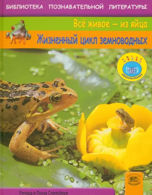 

Жизненный цикл земноводных, Зелёный