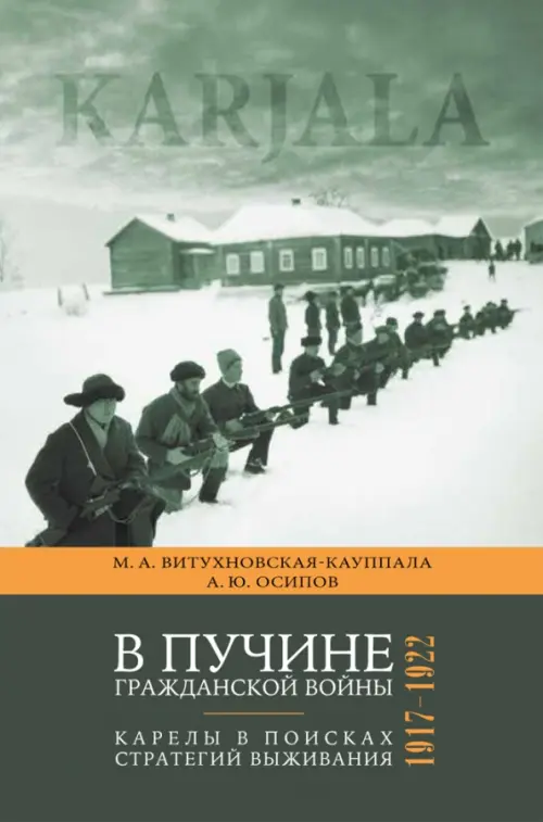 

В пучине гражданской войны. Карелы в поисках стратегий выживания. 1917 - 1922, Серый