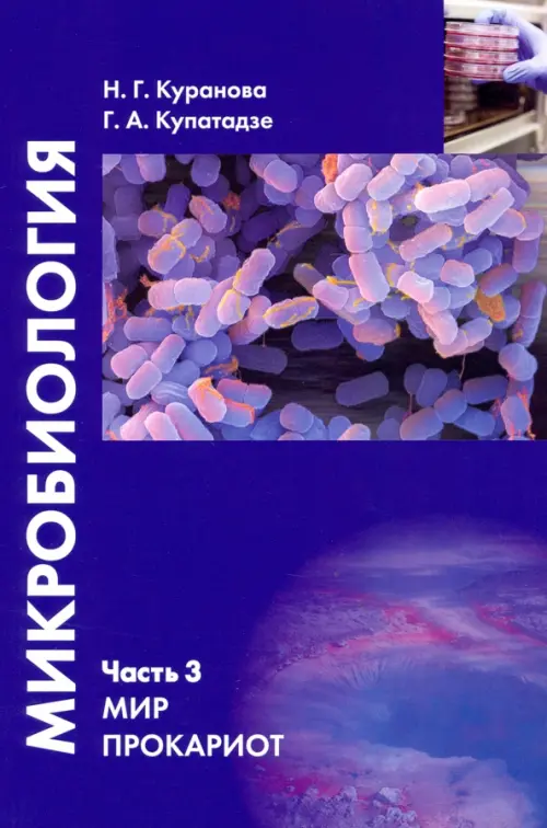 

Микробиология. Часть 3. Мир прокариот. Учебное пособие, Фиолетовый