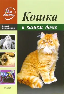 Кошка в вашем доме