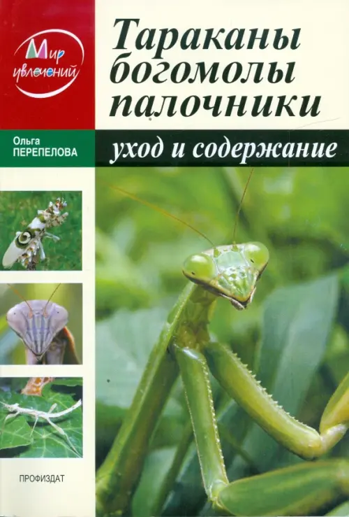 

Тараканы, богомолы, палочники. Уход и содержание, Зелёный