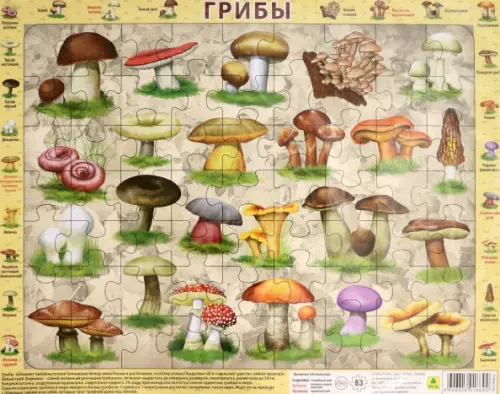 

Пазл на подложке. Грибы, 63 элемента, Оранжевый