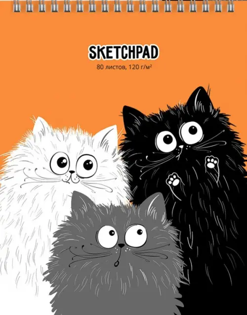 

Скетчпад на гребне Смешные котики, А4, 80 листов, Оранжевый