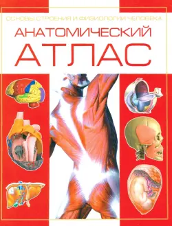 Анатомический атлас. Основы строения и физиологии человека