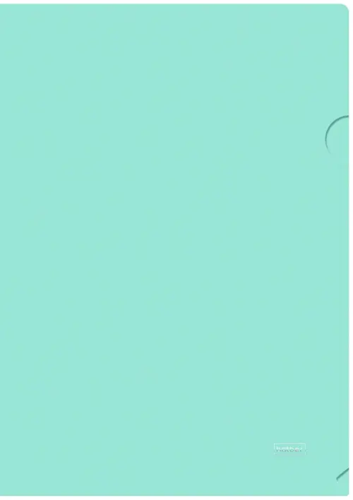 

Папка-уголок пластиковая "NEWtone Pastel Мята" А4 (AG4_05039), Зелёный