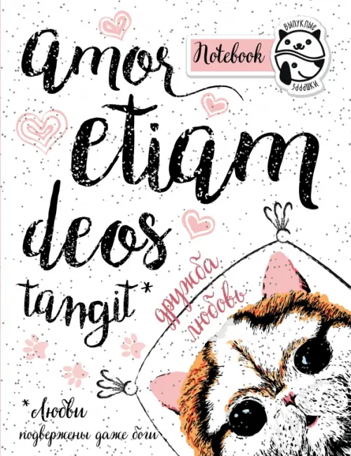 Блокнот. Amor etiam deos tangit, А5+